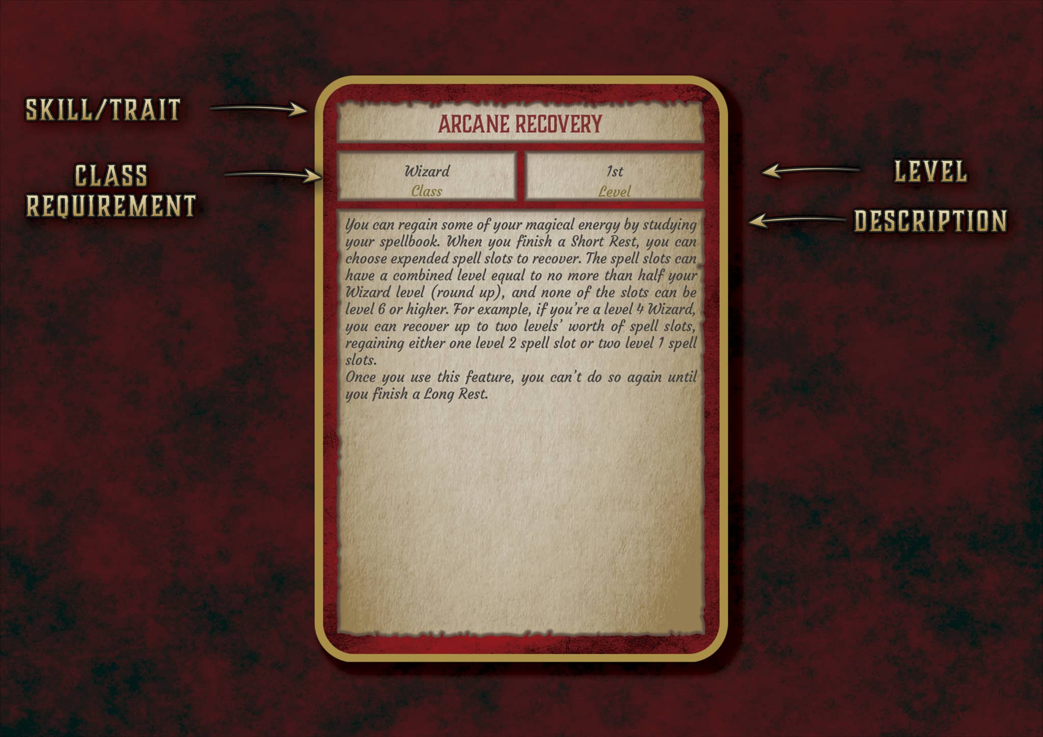 D&D 5E Wizard Skill & Traits Cards (2014 & 2024) | Digital Download