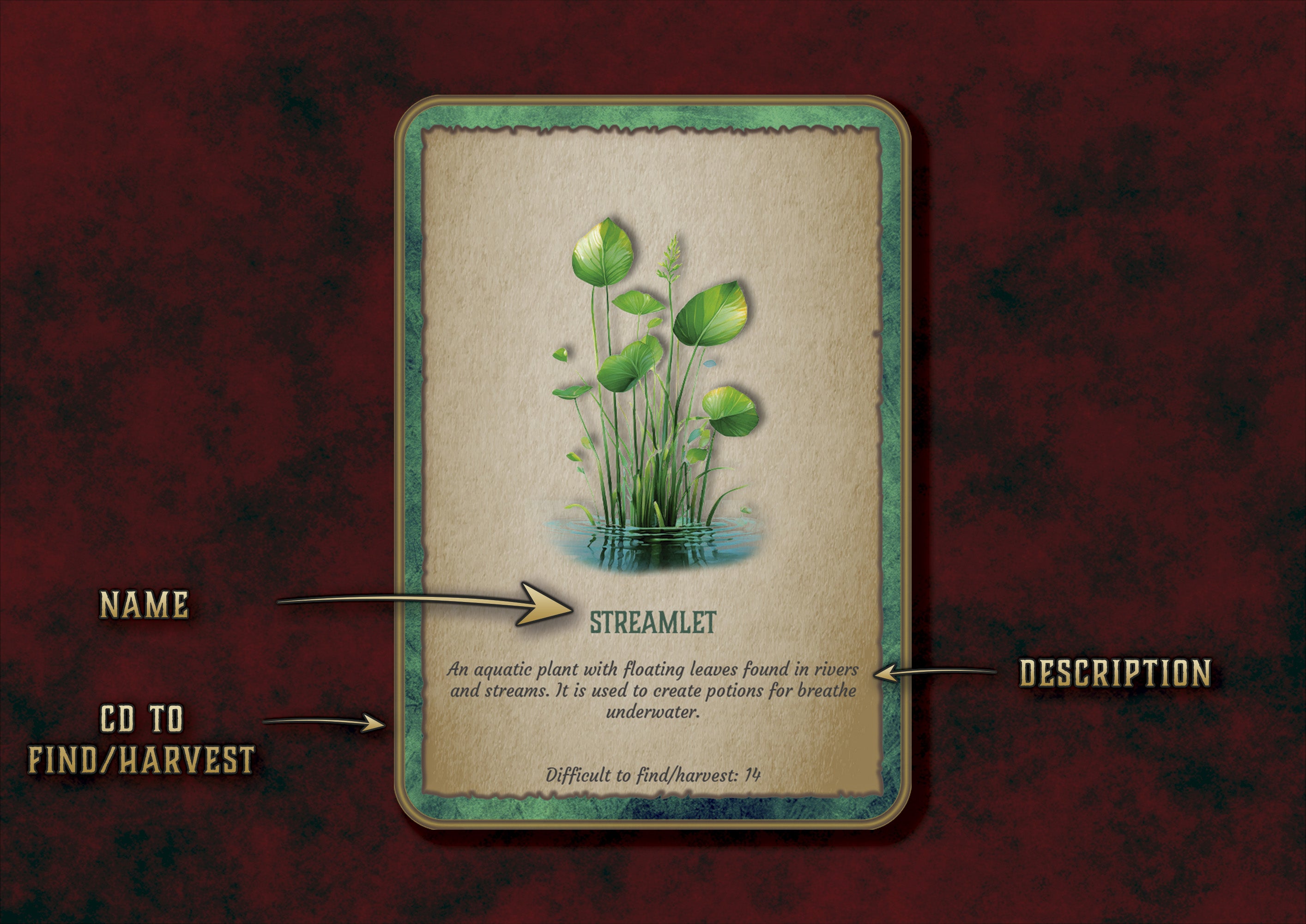 Tarjeta digital ilustrada de planta acuatica Streamlet para juego de alquimia por Cibola Designs