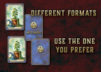 Cartas De Magia Salvaje DnD 5E 2014 Y 2024 Imprimible Digital